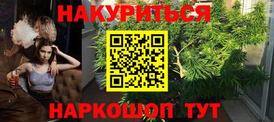 метадон Кингисепп