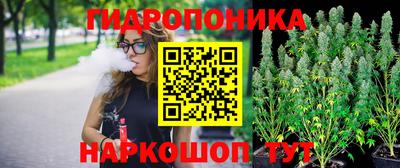 хмурый Кимры