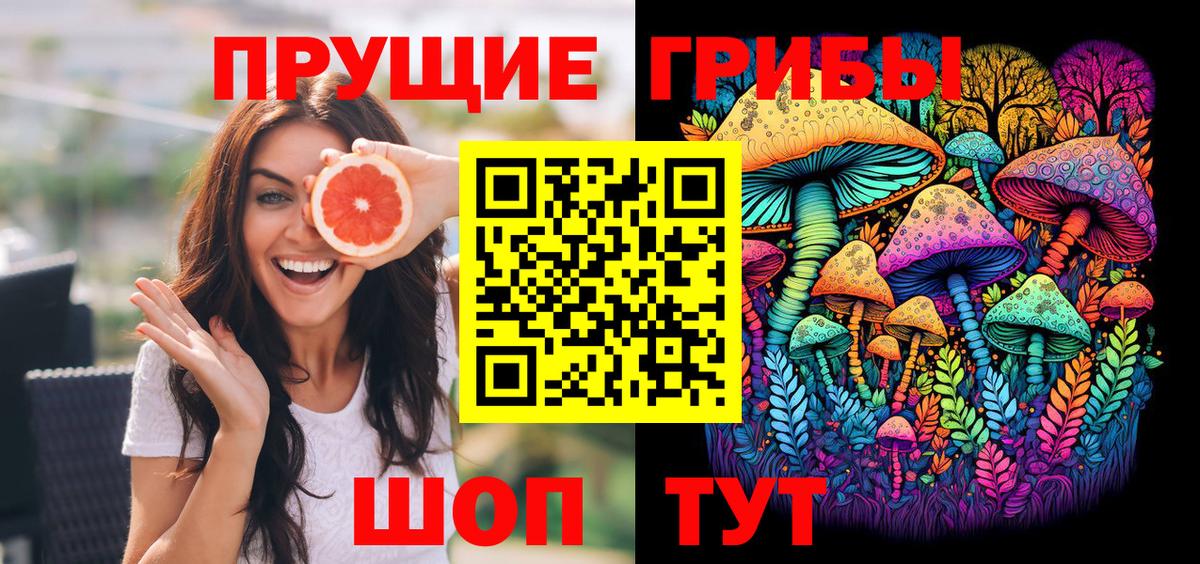 Галлюциногенные грибы Cubensis Камышлов