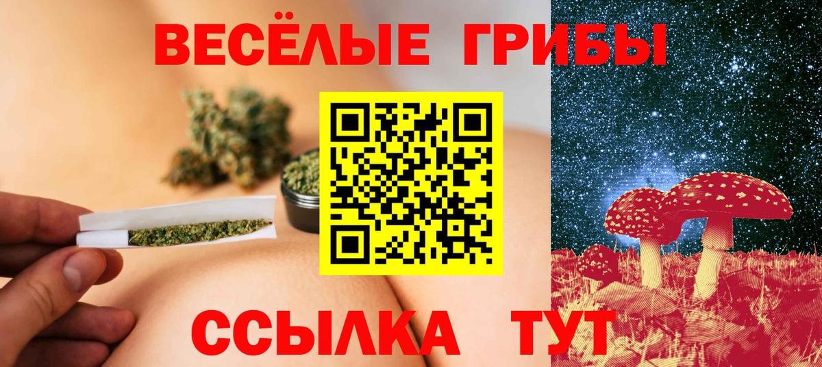Псилоцибиновые грибы Cubensis  Вход с VPN  Камышлов 